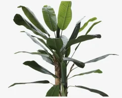 Banana Kunstigt Træ H.180 cm