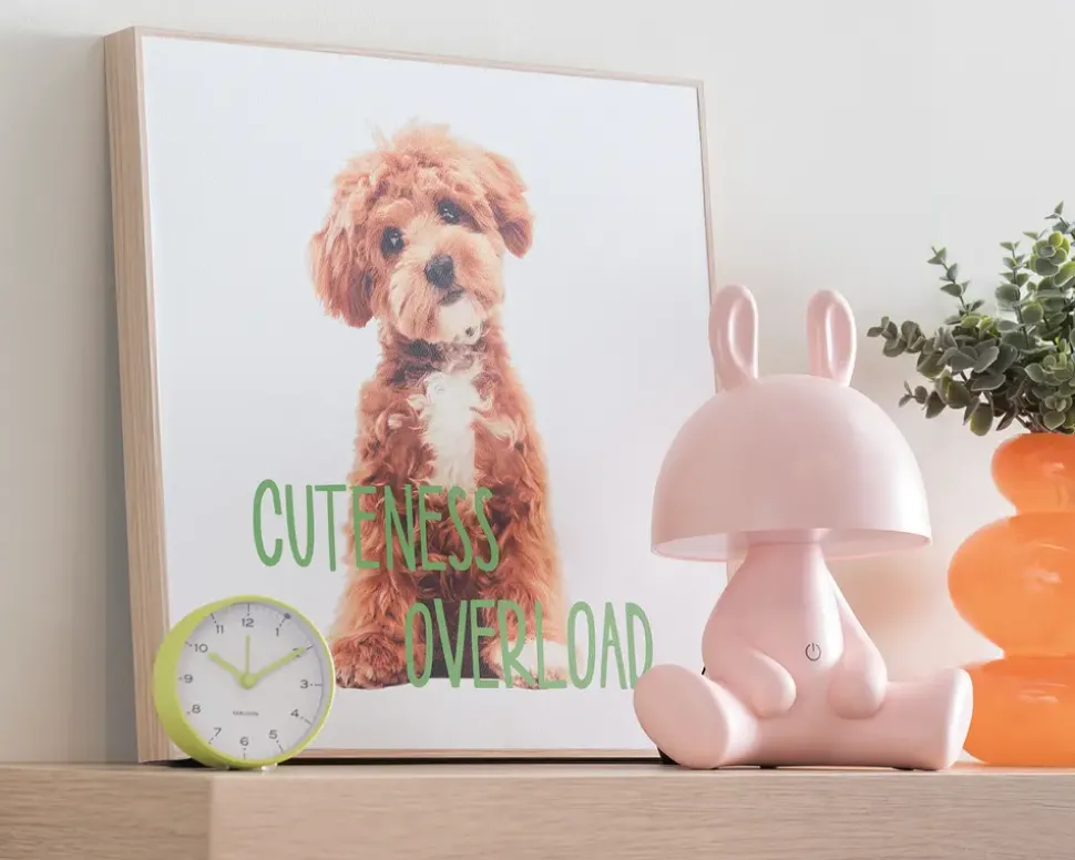 Billede puppy - Cuteness overload