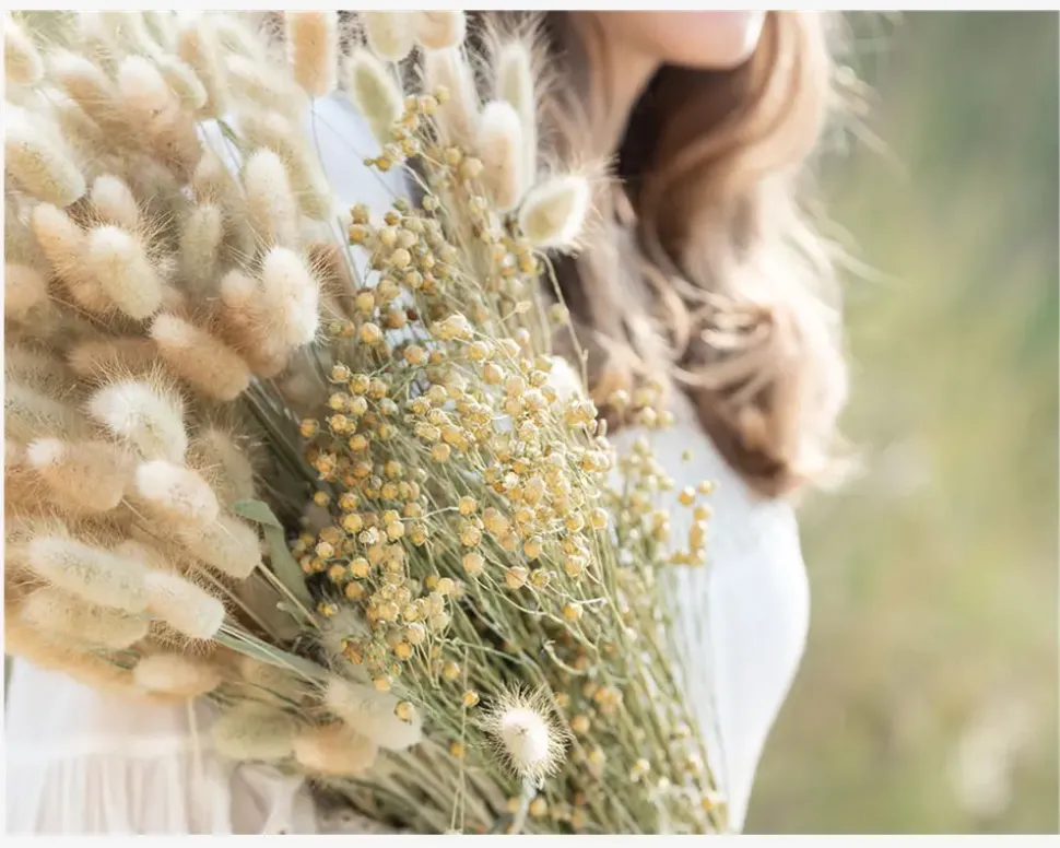 Buket Tørret Gypsophila Hvid