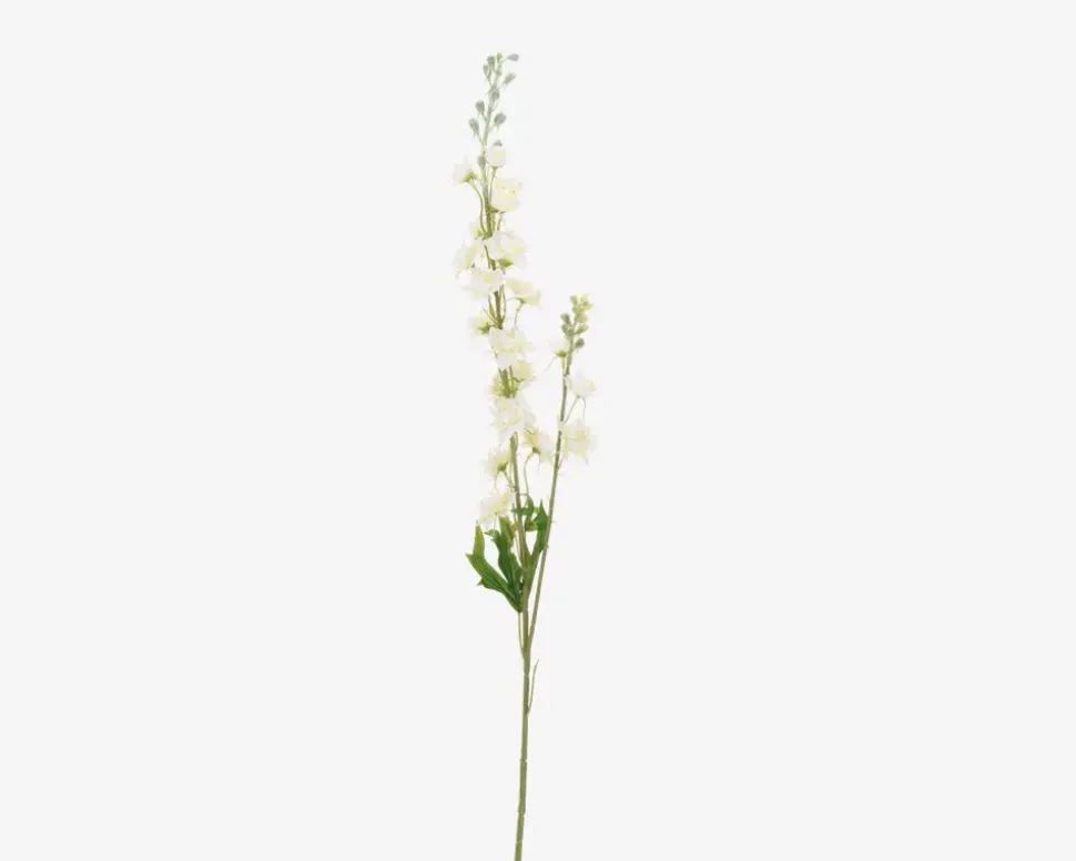 Delphinium stilk ass H.85 cm