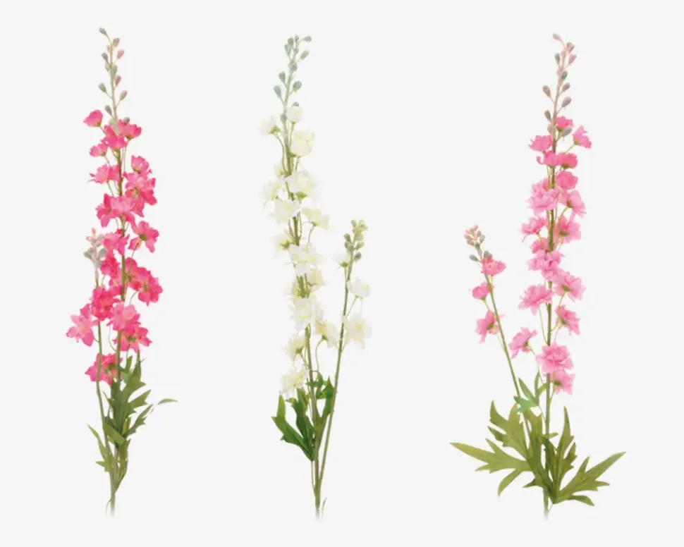 Delphinium stilk ass H.85 cm