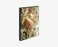 Klods Fading Scarlet 15x21 cm