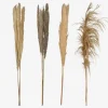 Pampas tørret 100-115 cm