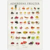 Plakat Alverdens Frugter A5