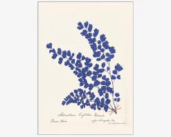 Plakat Botanical Fern III Blue