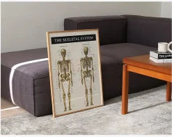 Plakat Skelettet