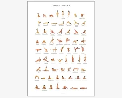 Plakat Yoga Poses