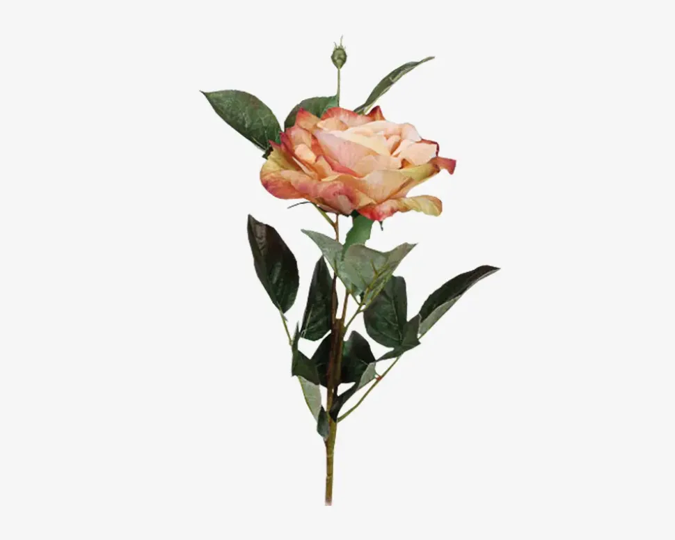 Rose stilk ass 10x10x59 cm