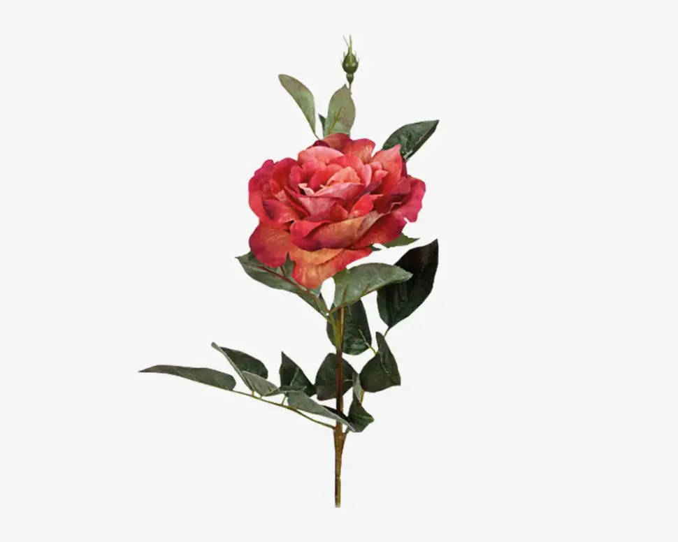 Rose stilk ass 10x10x59 cm