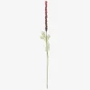 Stilk Ambrosia Grøn/Rød H.50cm