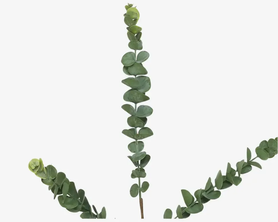 Stilk Eucalyptus Grøn H.70 cm
