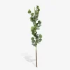 Stilk Eukalyptus Grøn H.38 cm