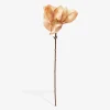 Stilk Magnolia Beige H.50 cm