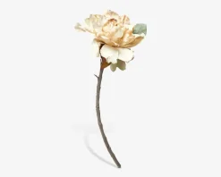 Stilk Pæon cream H.40 cm
