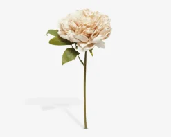 Stilk Pæon Lyserød H.30 cm
