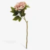 Stilk Pæon Rosa H.46 cm