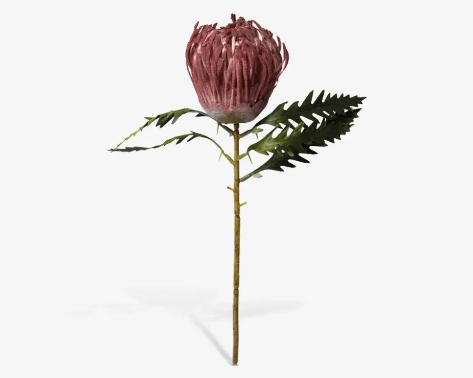 Stilk Protea Lyserød H.42 cm