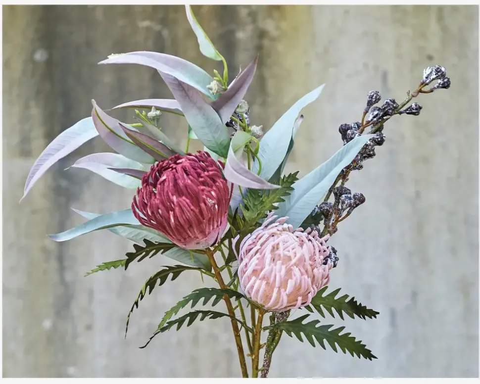 Stilk Protea Lyserød H.42 cm