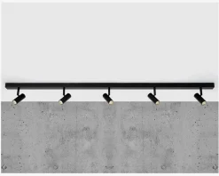 Væg-/loftlampe Omari 5 Sort